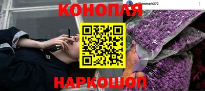 МДПВ Тара