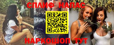 МДПВ Тара