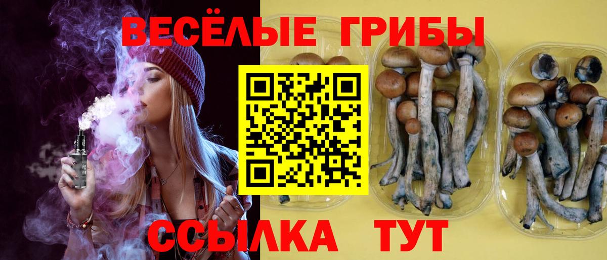 Псилоцибиновые грибы MAGIC MUSHROOMS Наро-Фоминск